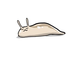 2016_0215_22_namekuji