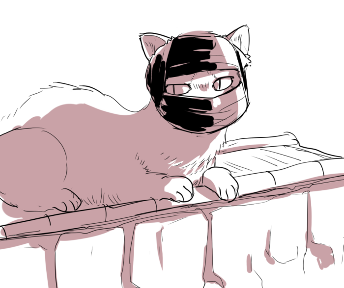 2017_0205_21_nekonin