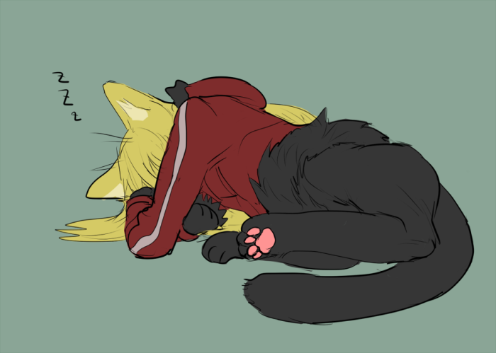 2018_1211_04_36_yyuu